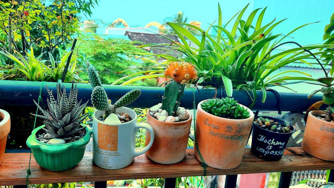 Sena home 2nd*near Danang Han river*Dragon bridge Eksteriør billede